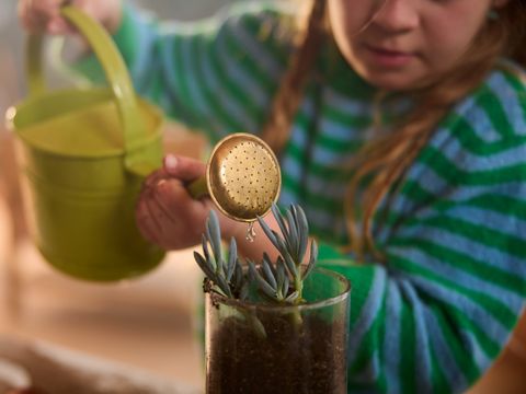 Center Parcs Les Landes de Gascogne - Lot-et-Garonne