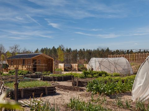 Center Parcs Les Landes de Gascogne - Lot-et-Garonne - Image N°21
