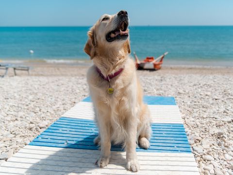 Le Mimose Family Resort - Fermo