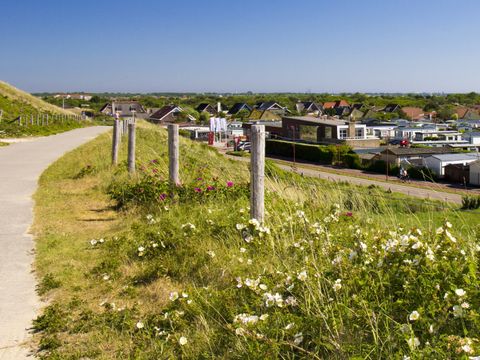 Strandcamping Oase - Camping Den Helder - Image N°5