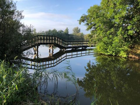 Recreatiepark De Wielen - Schagen - Image N°21