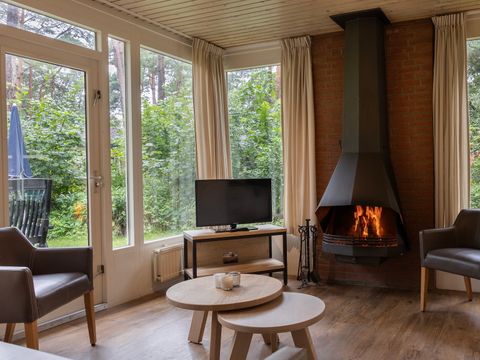 Summio Parc Heihaas - Camping Ermelo - Image N°2