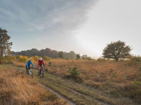 Landal Sallandse Heuvelrug - Wierden