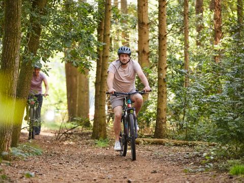 Landal Sallandse Heuvelrug - Wierden