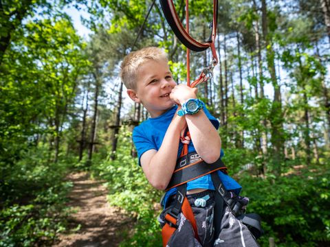 Landal Kaap West - Terschelling - Image N°4