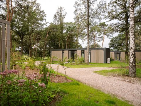 Zicht op Twente - Camping Hof von Twente - Image N°0