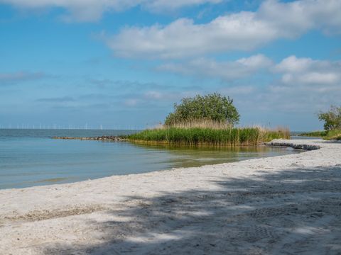 EuroParcs Hindeloopen - Südwest-Friesland - Image N°15