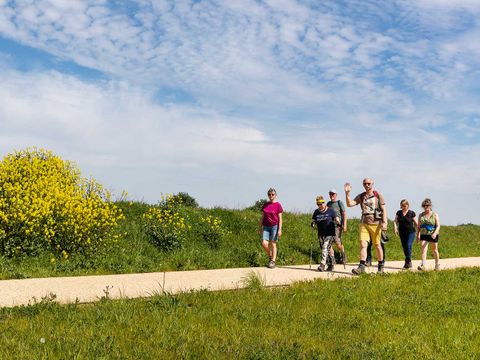 Molecaten Park Waterdunen - Sluis - Image N°21