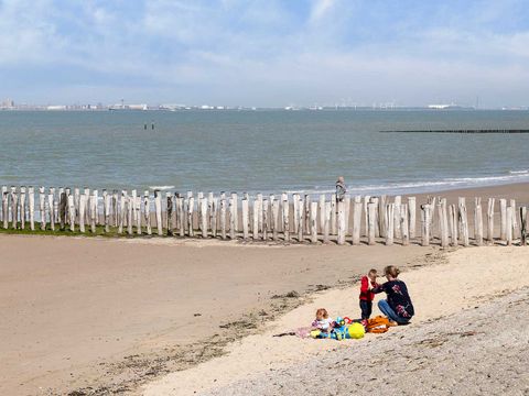 Molecaten Park Waterdunen - Sluis - Image N°20