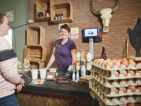 Vodatent Camping de Waterbuffelfarm  - Steenwijkerland - Image N°5