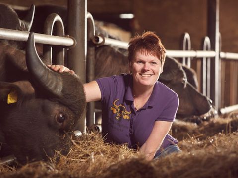 Vodatent Camping de Waterbuffelfarm  - Steenwijkerland - Image N°4