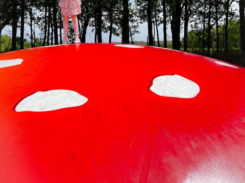 Vodatent Camping de Zwammenberg  - Loon op Zand - Image N°5