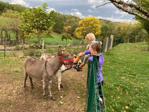 Vodatent Camping Fargogne - Tarn-et-Garonne - Image N°3