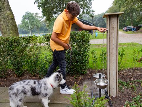 Buitengoed Erve Raewyck - Camping Hardenberg - Image N°0