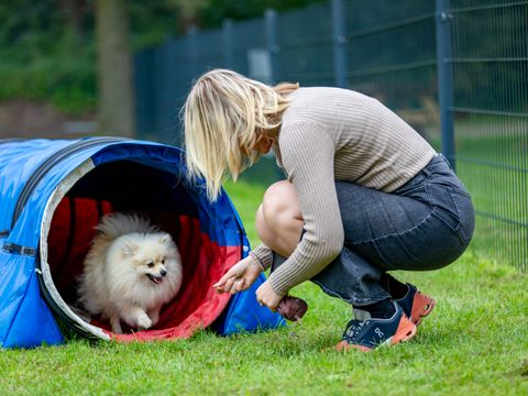 Buitengoed Erve Raewyck - Camping Hardenberg - Image N°0