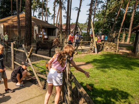 Familiepark Goolderheide - Camping Belgisches Limburg - Image N°4