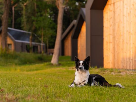 Roodewoud - Aa und Hunze - Image N°2