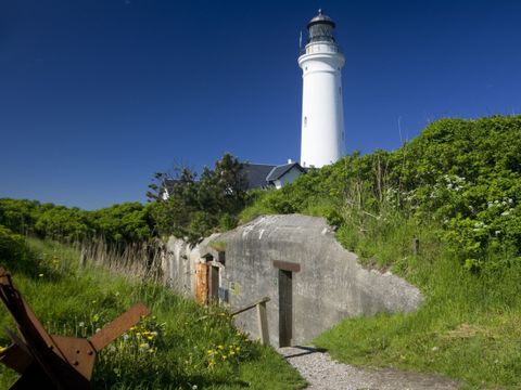 Landal Fyrklit - Nordjutland - Image N°18