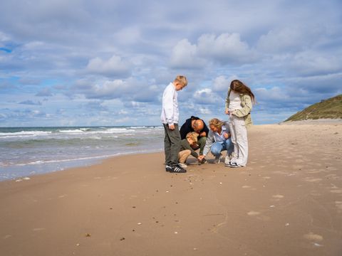 Landal Fyrklit - Nordjutland - Image N°14