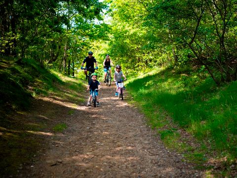 Landal Seawest - Süd-Dänemark