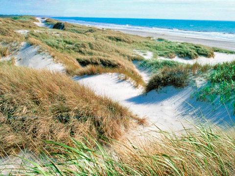 Landal Seawest - Süd-Dänemark - Image N°40