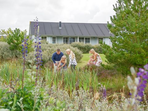 Landal Seawest - Süd-Dänemark - Image N°35
