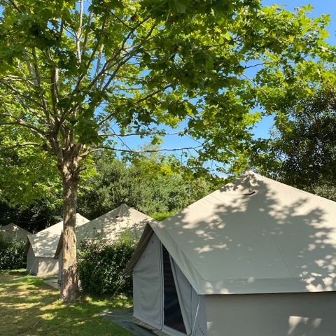 wecamp Cudillero - Camping Asturias - Image N°6