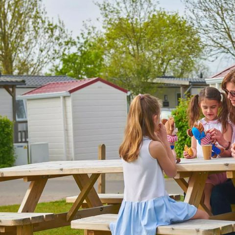 Siblu Camping de Oase - Camping Renesse - Image N°3