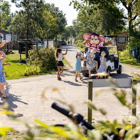 Siblu Camping Lauwersoog - Das Hochland - Image N°2