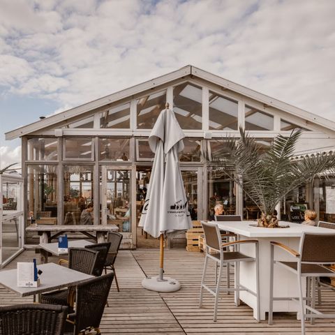 Landal Strandhuisjes Wijk aan Zee - Beverwijk - Image N°5