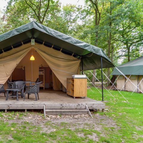 Safarizelt 6 Personen - Ferienpark Herperduin - Safari Zelt 6 Personen