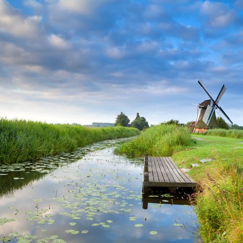 Landal Landgoed Bourtange - Camping Westerwolde - Image N°4