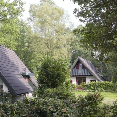 Bungalow 6 Personen - Langelo