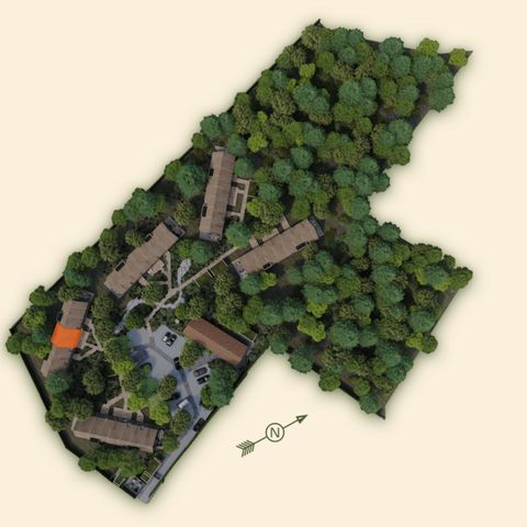 Woodz Lodges  - Camping Belgisches Limburg - Image N°6