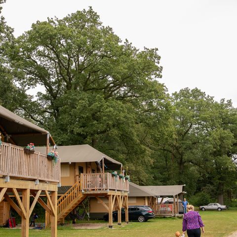 AUßERGEWÖHNLICHE UNTERKUNFT 6 Personen - Baumhaus-Safari