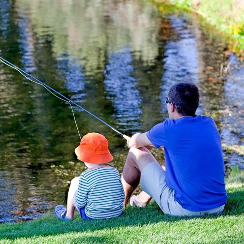 Camping Zavelbos - Camping Belgisches Limburg - Image N°5