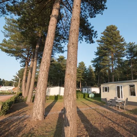 Mobilheim 6 Personen - Sun Lodges