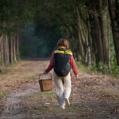 Bungalow 4 Personen - Wanderer-Hütte
