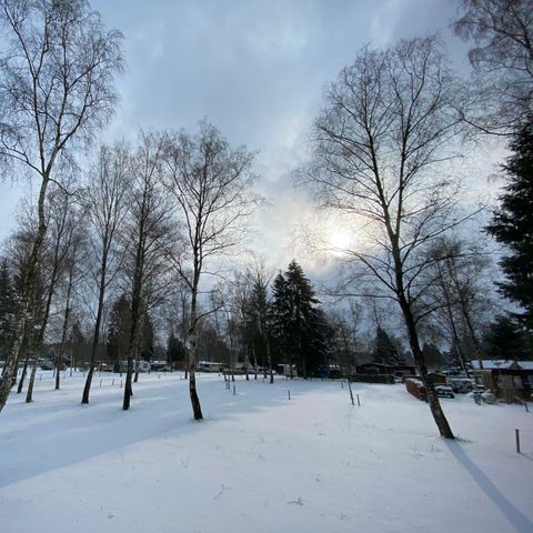 Bungalow 4 Personen - Wanderer-Hütte
