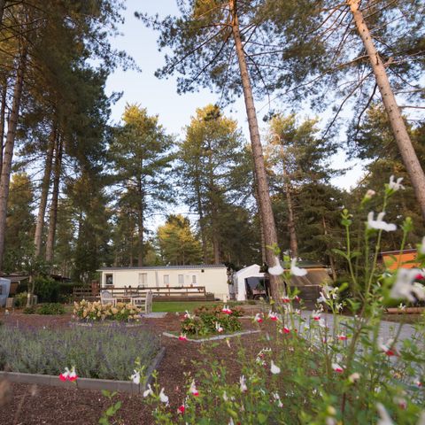 Bungalow 6 Personen - Wanderhütte groß