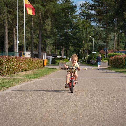 Arden Parks Tulderheyde - Camping Antwerpen - Image N°6
