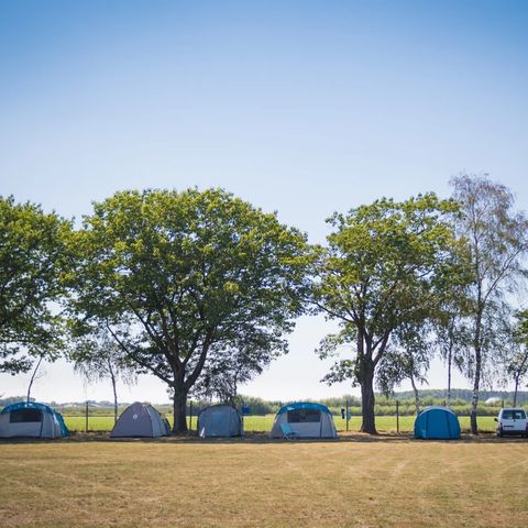 Arden Parks Tulderheyde - Antwerpen - Image N°6