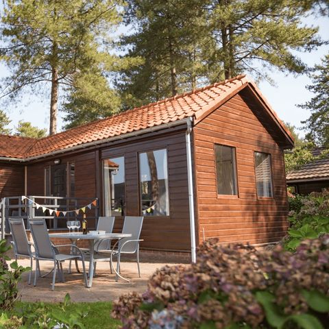 Arden Parks Tulderheyde - Camping Antwerpen - Image N°3