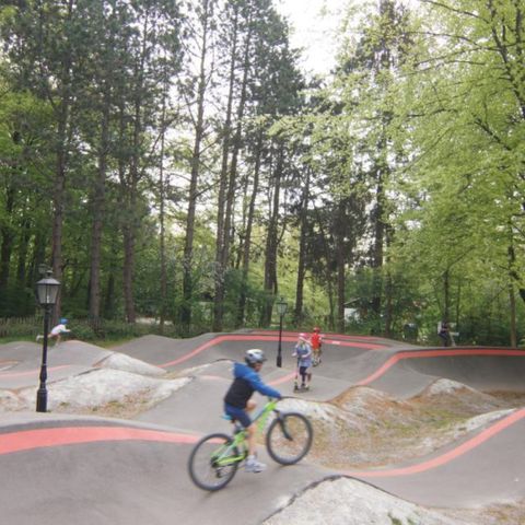 Villapark de Hondsrug - Camping Borger-Odoorn - Image N°5