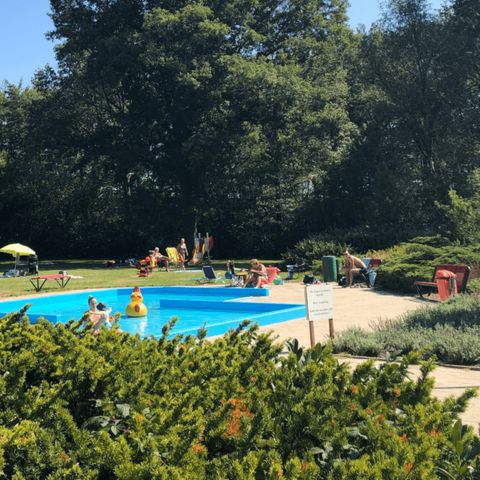 Villapark de Hondsrug - Camping Borger-Odoorn - Image N°2