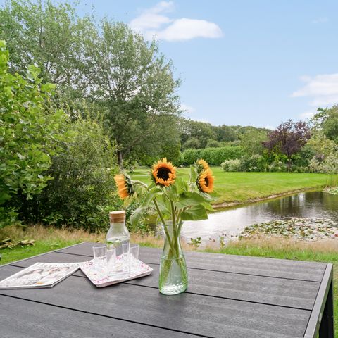 FERIENHAUS 4 Personen - Singdrossel Komfort