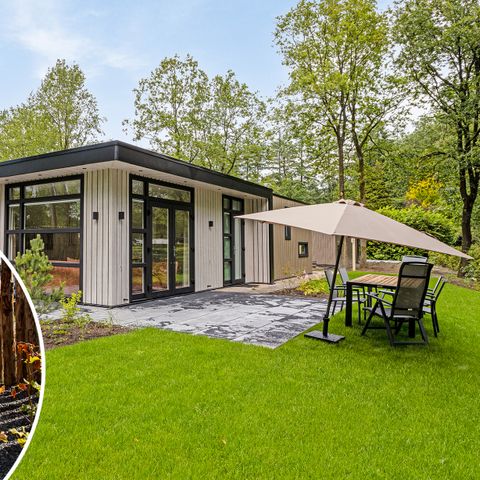 Bungalow 4 Personen - Waldflug Wellness (Whirlpool)