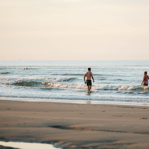 AUßERGEWÖHNLICHE UNTERKUNFT 4 Personen - Wraphouse-Bär