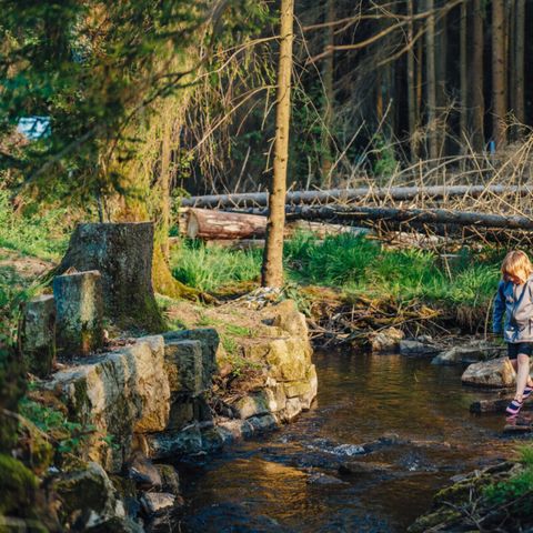 Vodatent Camping Braunlage - Niedersachsen - Image N°2