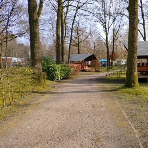 Safarizelt 6 personen